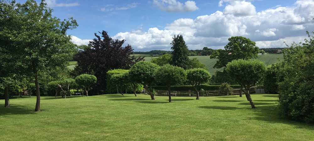 CLB Landscaping – Tree Surgery, Landscaping, Garden Maintenance, Oxfordshire, Berkshire