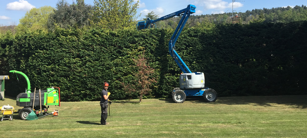 CLB Landscaping – Tree Surgery, Landscaping, Garden Maintenance, Oxfordshire, Berkshire
