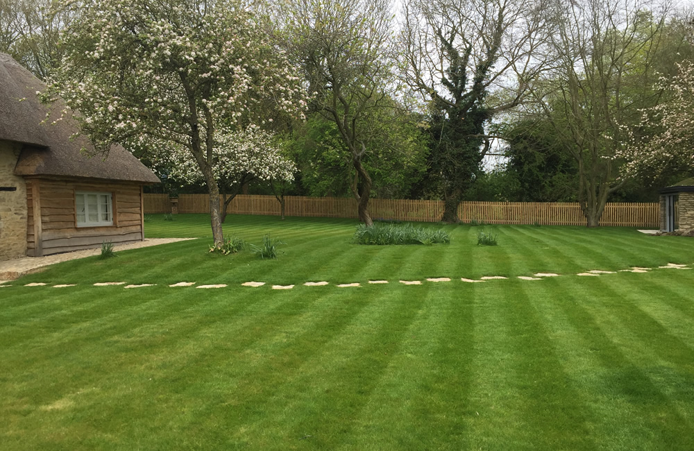 Lawn Care - CLB Landscaping