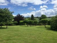 Grounds & Garden Maintenance - CLB Landscaping