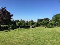 Grounds & Garden Maintenance - CLB Landscaping
