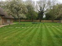 Grounds & Garden Maintenance - CLB Landscaping