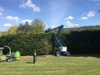 Tree Surgery & Hedge Cutting, Oxfordshire, Berkshire