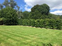 Grounds & Garden Maintenance - CLB Landscaping