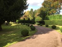 Grounds & Garden Maintenance - CLB Landscaping