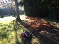 Grounds & Garden Maintenance - CLB Landscaping