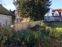 Landscaping - CLB Landscaping