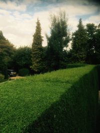 Tree Surgery & Hedge Cutting, Oxfordshire, Berkshire