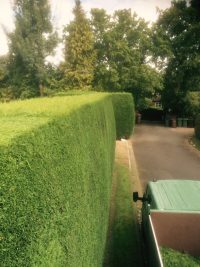 Tree Surgery & Hedge Cutting, Oxfordshire, Berkshire