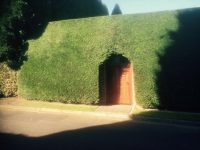 Tree Surgery & Hedge Cutting, Oxfordshire, Berkshire